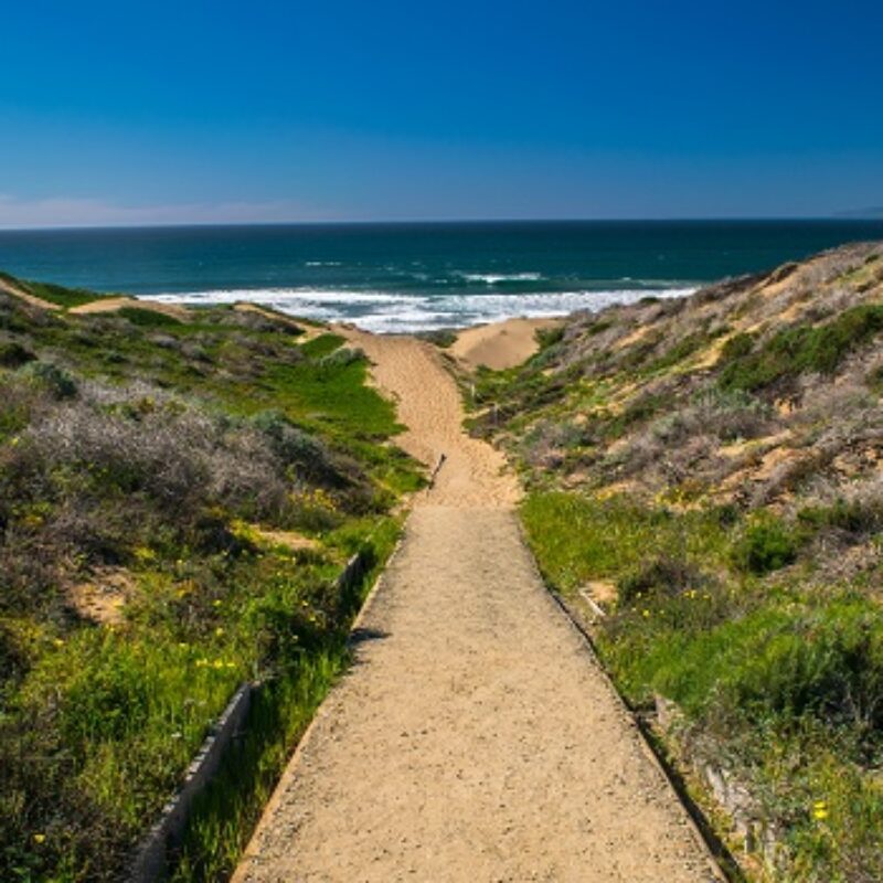 Top Hiking Trails to Check Out in Morro Bay
