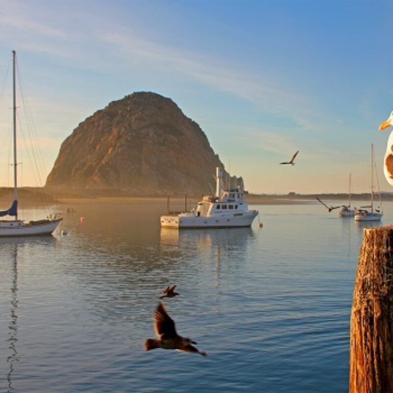 Fishing in Morro Bay: When and Where to Go