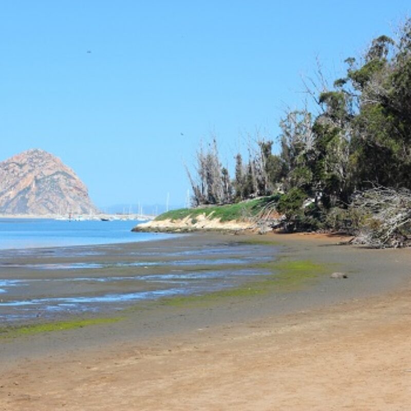 5 Ways to Have a Blast at the Beach when You Visit Morro Bay