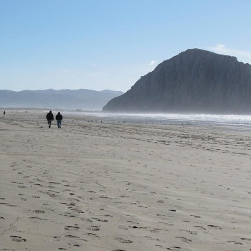 Why Morro Bay Is Perfect for a Vacation with Friends