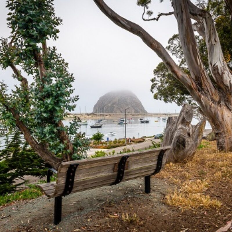Where Can You Enjoy Some Quality “Me Time” in Morro Bay?