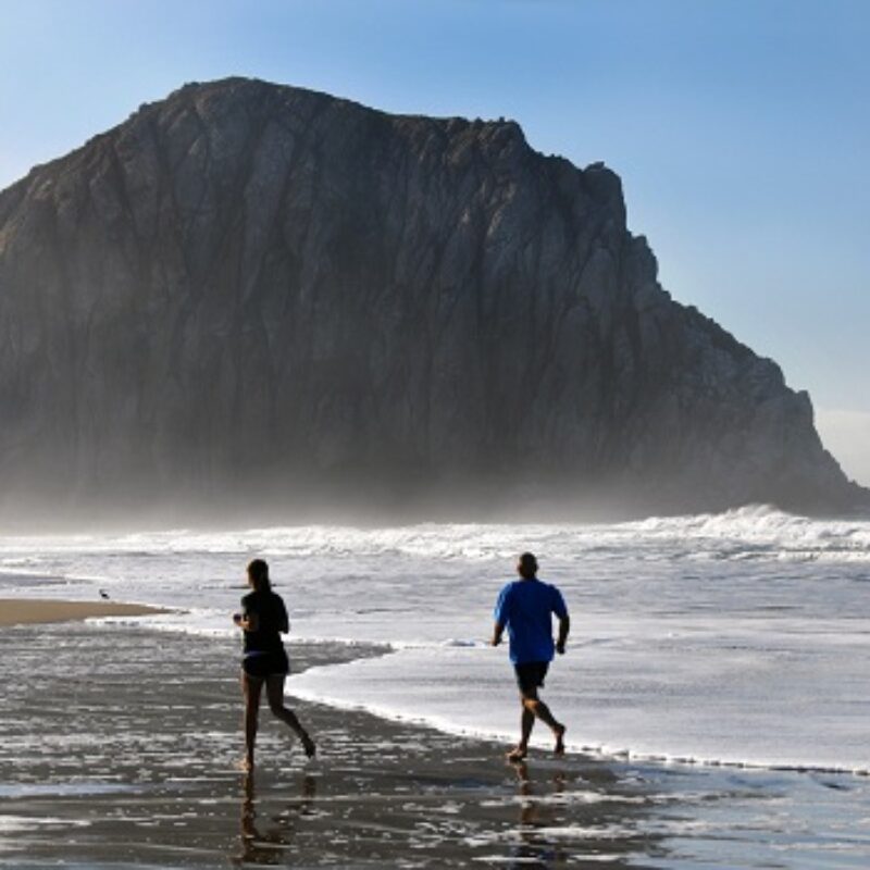 What Souvenirs Should I Get When I Visit Morro Bay?