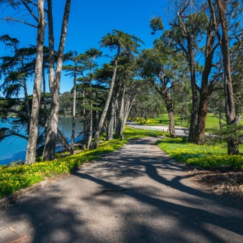 Morro Bay’s Best Walkable Spots