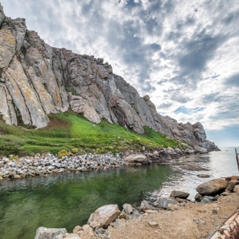 Where to View Wildlife when You Visit Morro Bay