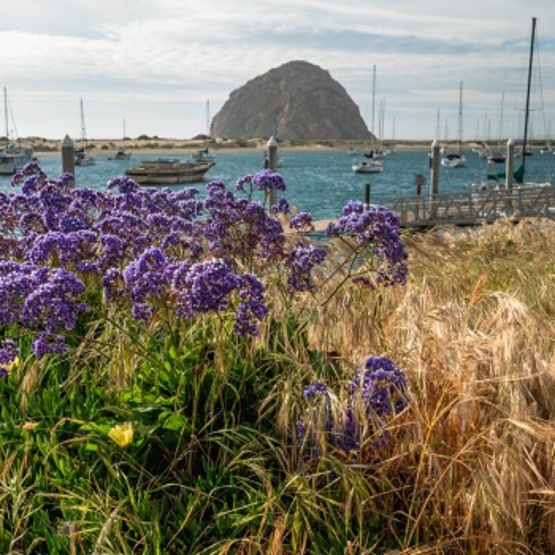 5 Things to Do during Your Time Off when You’re in Morro Bay for Business