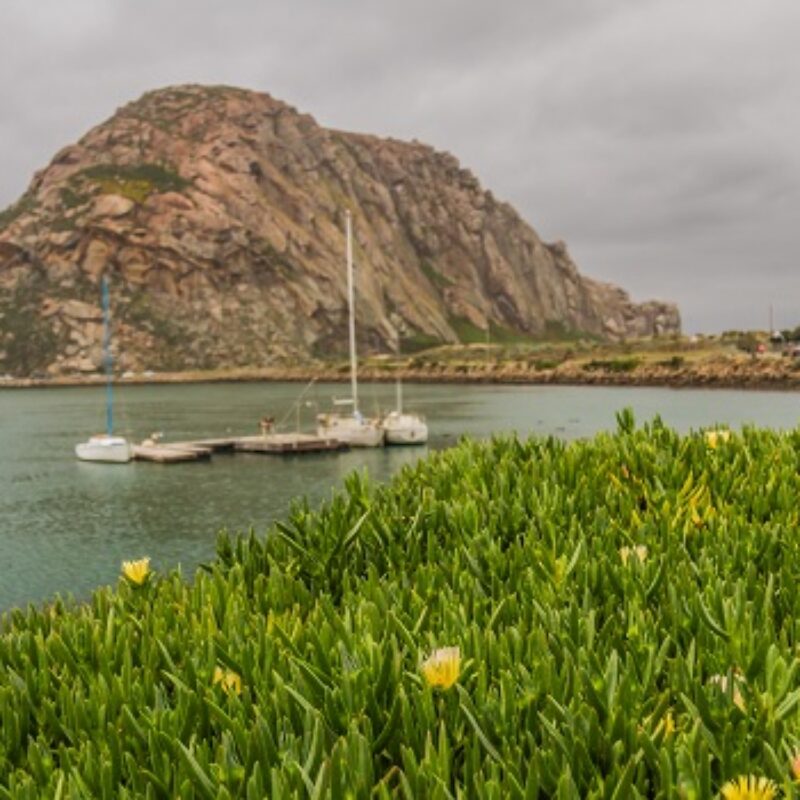 What Are Morro Bay’s Most Popular Sites for Visitors?