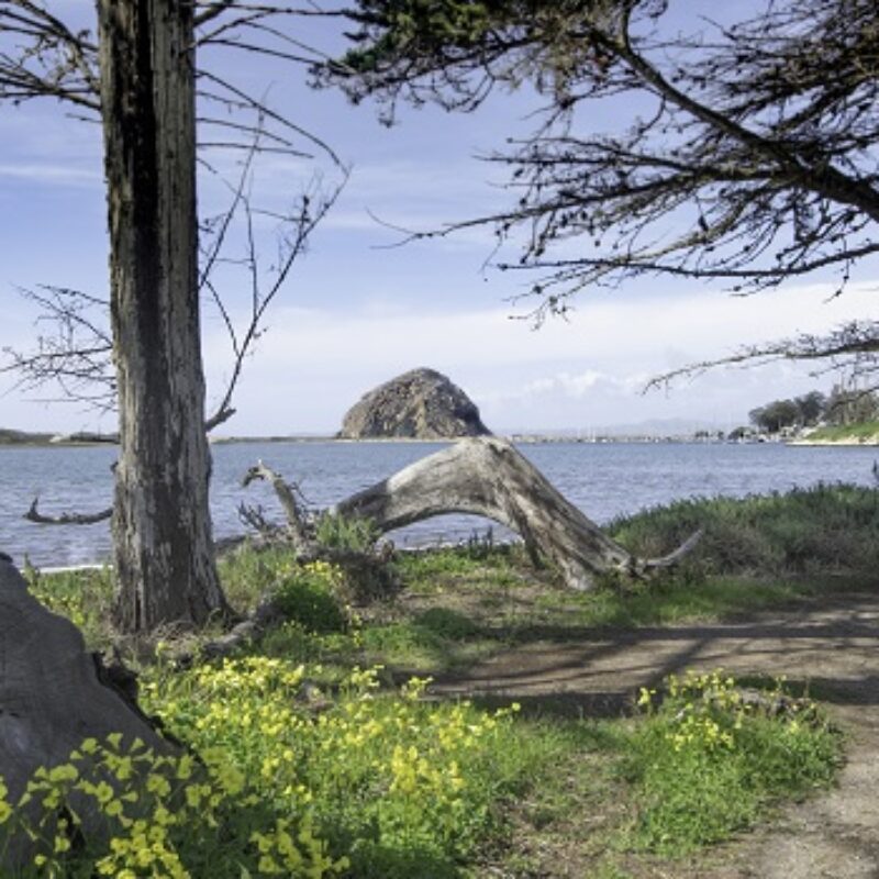 5 Things that Make Morro Bay State Park a Great Place to Visit