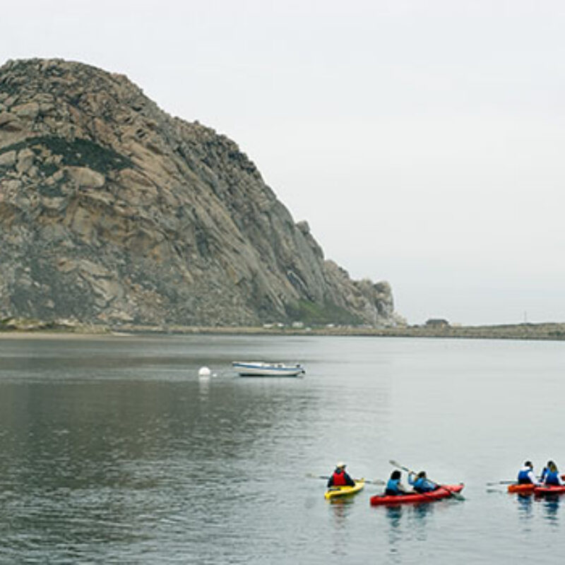 Which Morro Bay Beaches Should Be on Your Must-See List?