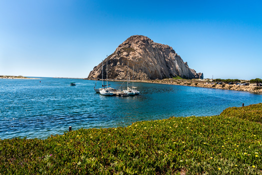 Morro Bay CA