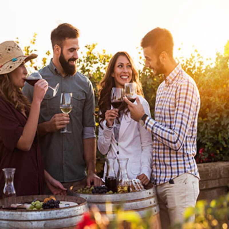 Morro Bay’s Top Wineries