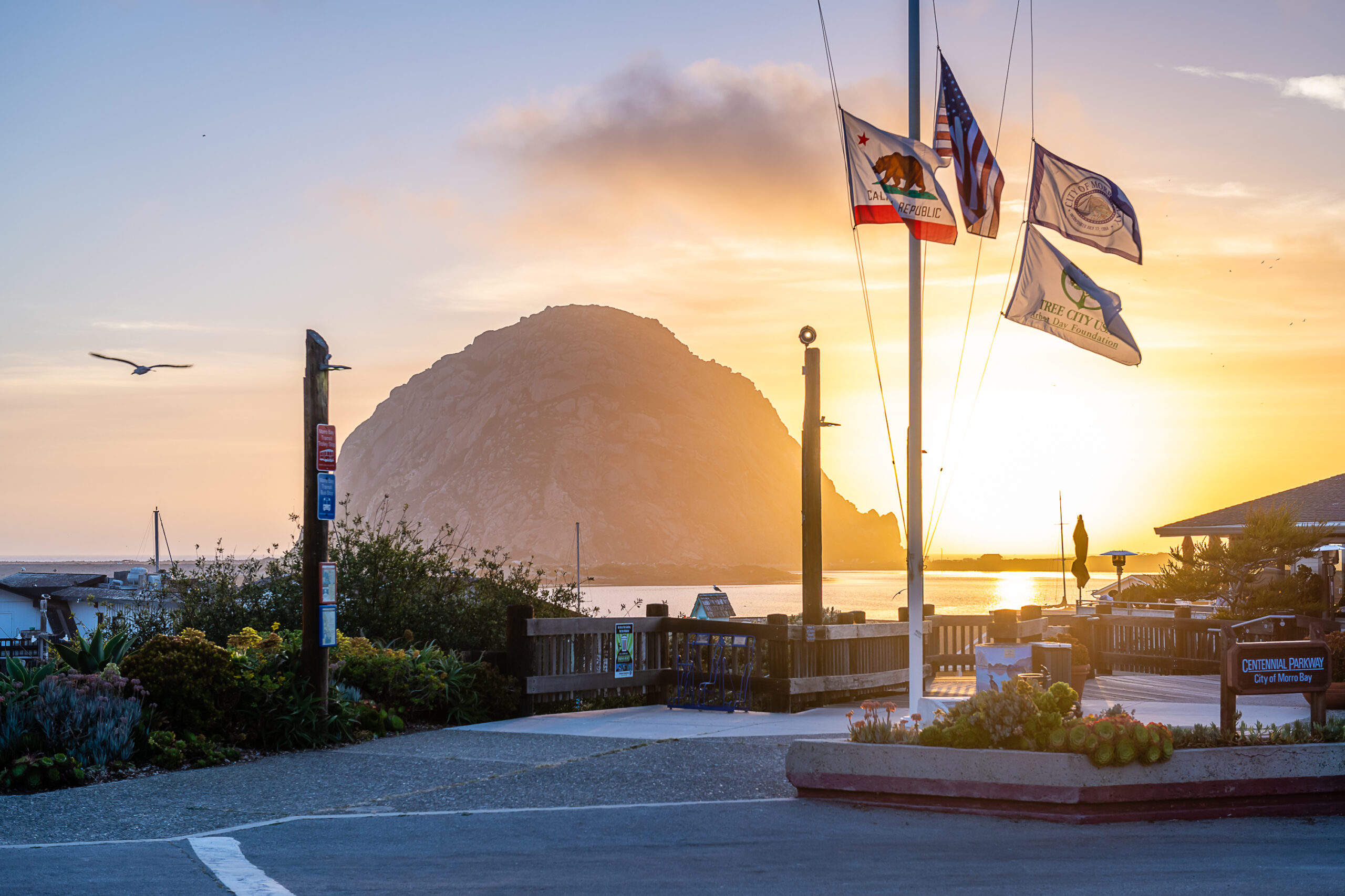 Morro Bay CA