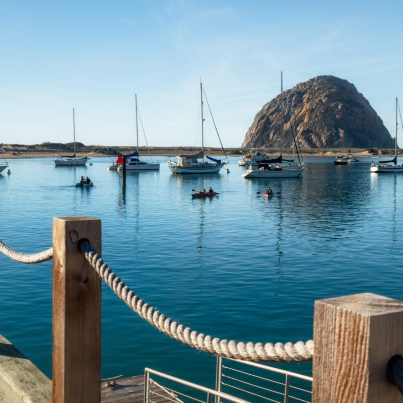 What You Need to Know About Sport Fishing in Morro Bay