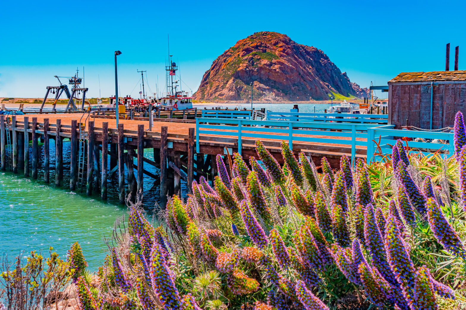 Labor Day weekend in Morro Bay