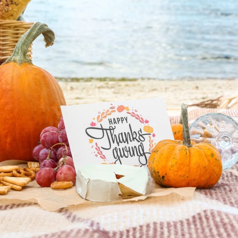 Ideas on How to Celebrate Thanksgiving 2022 Weekend in Morro Bay