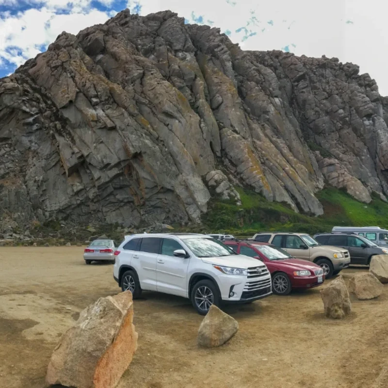 Discover the Best Things to Do in Morro Bay