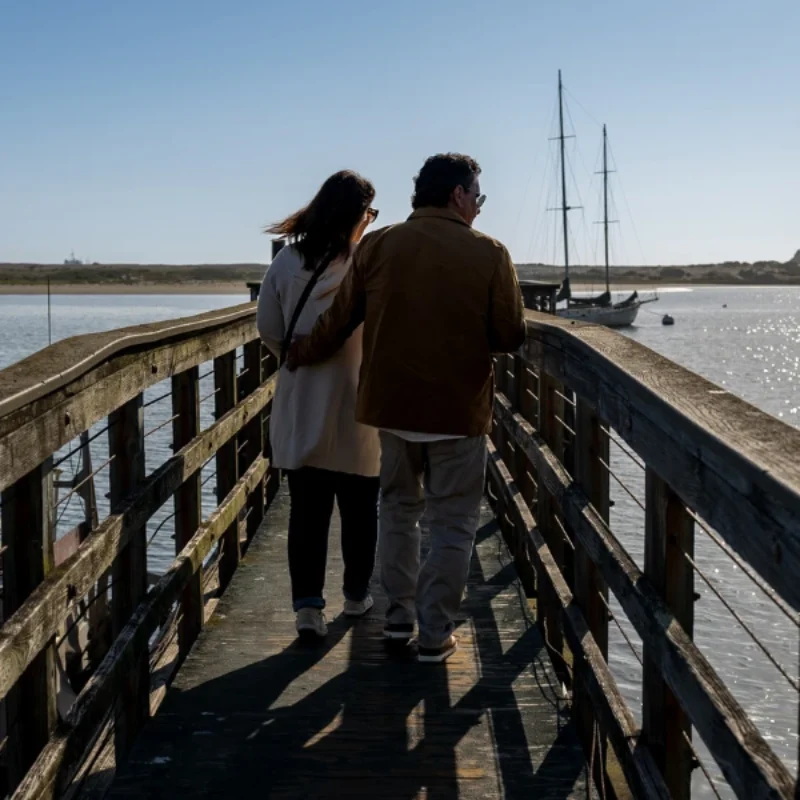 All About the History of Morro Rock