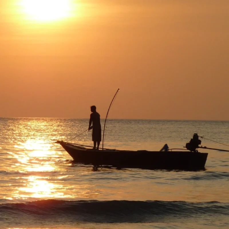 Experience the Best Morro Bay Fishing Spots