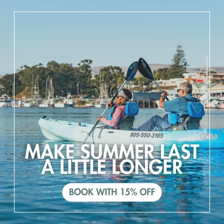 Stretch Your Summer Popup
