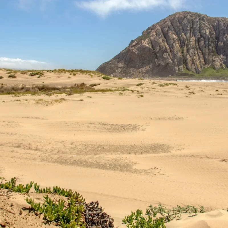 Discover the Best Morro Bay Beaches for Your Next Coastal Escape
