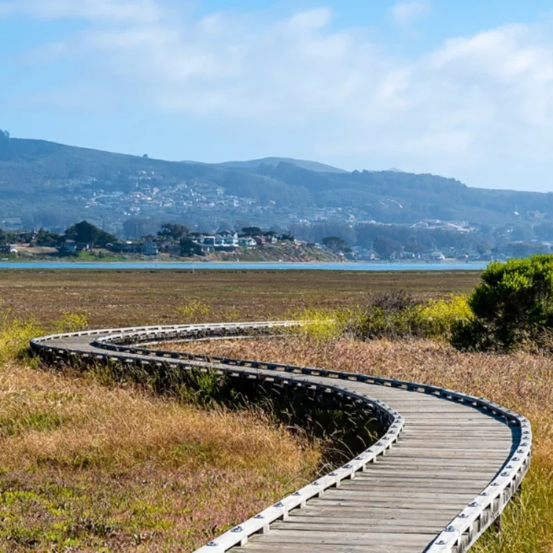 What to See and Do at Morro Bay State Park on California’s Central Coast