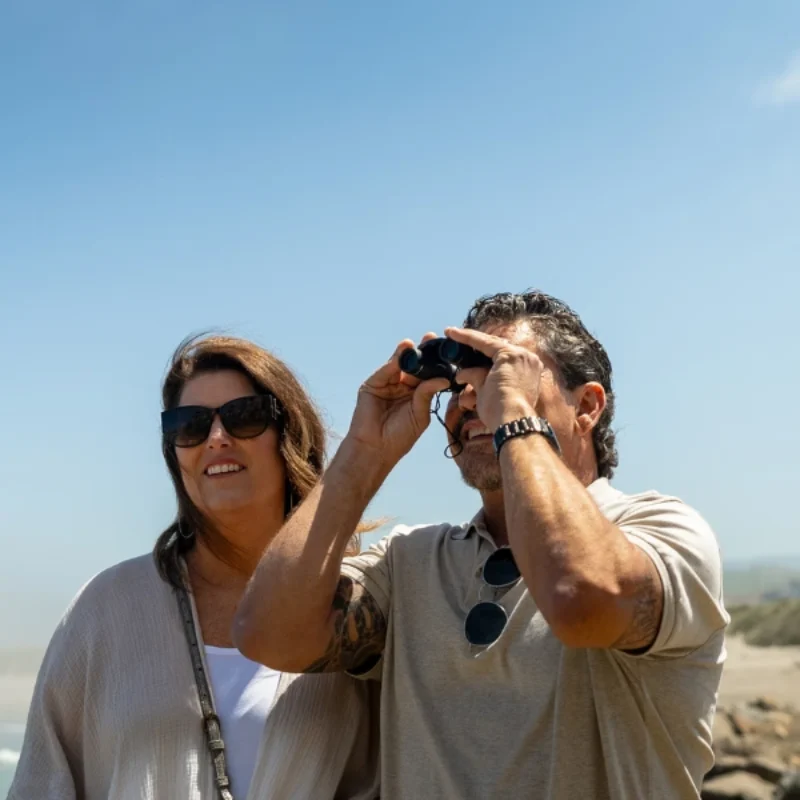 Best Birding Spots Near Morro Rock — Rookery Viewpoints & Peregrines