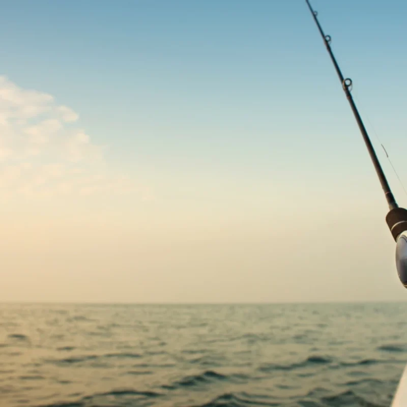Morro Bay Fishing Season Calendar: What’s Biting & When