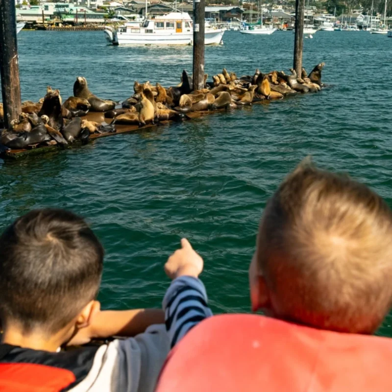 Morro Bay for Families: Otters, Taffy, Tide Pools, & Easy Trails
