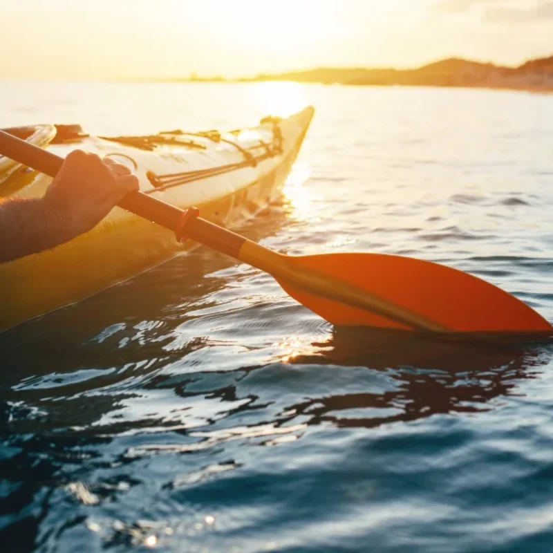 Best Solo Activities to Experience in Morro Bay