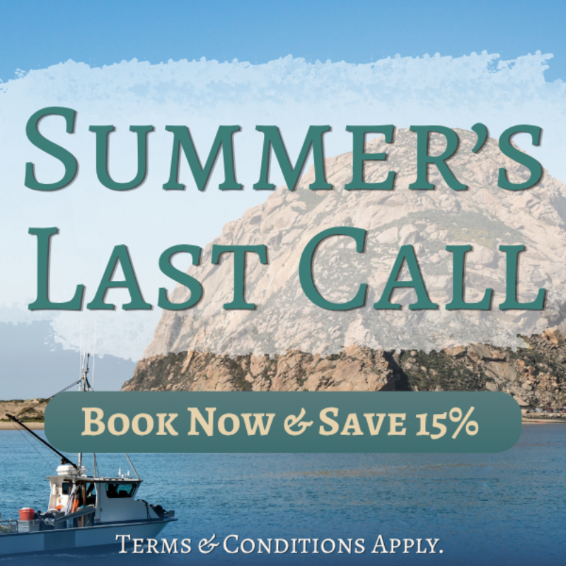 Summer´s Last Call : Save 15% at Ascot Suites